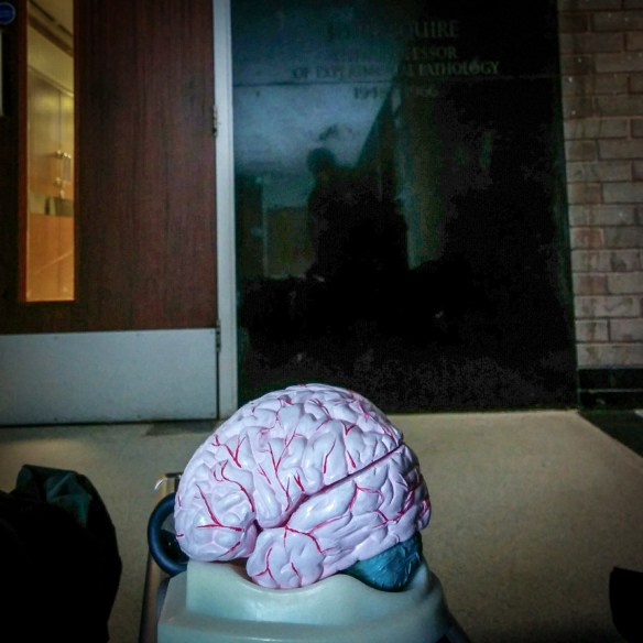 IMG_20160222_152343-2